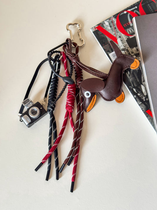 Bag keychain camera